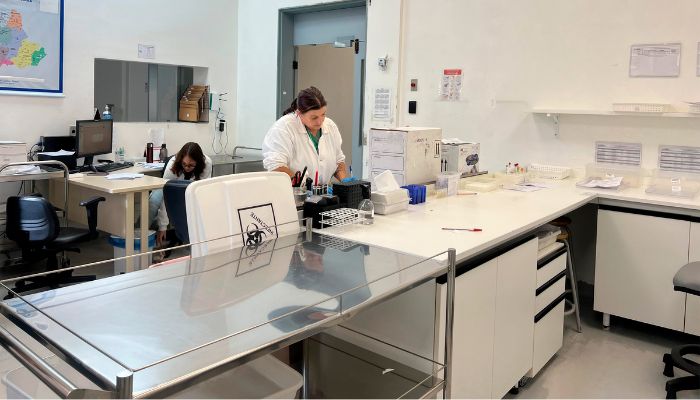 Paraná reduz tempo do diagnóstico de febre amarela em primatas e agiliza vigilância